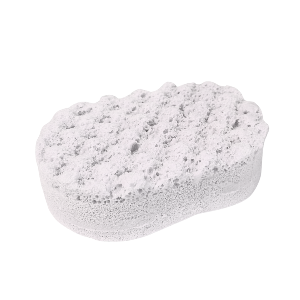 Dove Soap Sponge