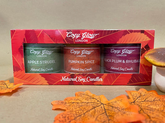 Cozy Glow Autumn Soy Candle Gift Collection