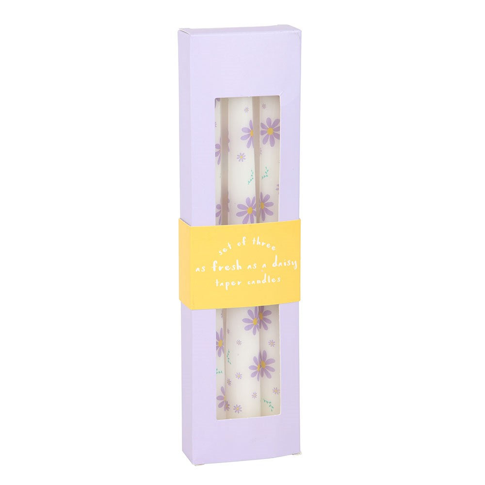 Set Of 3 Purple Daisy Taper Candles